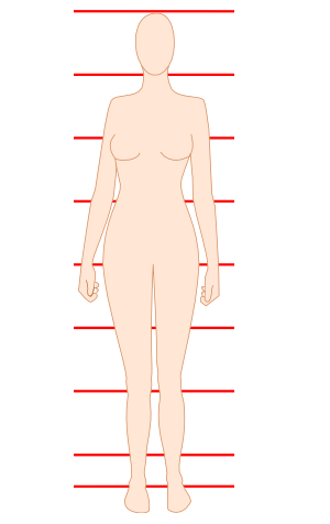 Vertical Body Proportions