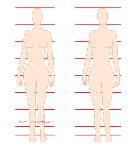 Which vertical body shape do you have? : r/tall